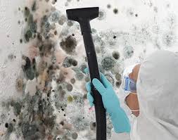 Best Mold Remediation for Healthcare Facilities  in County Center, VA